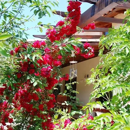 Jasmine Villa Kayaköy